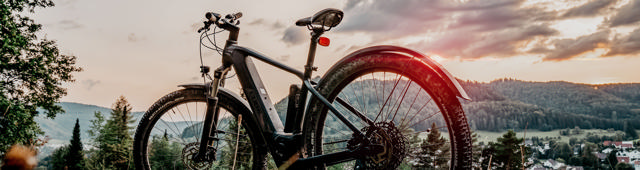 Bikes